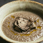 Truffled mushroom Soup